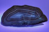 Colorful, Polished Patagonia Agate - Highly Fluorescent! #214922-3